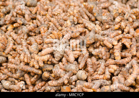 curcuma Foto Stock