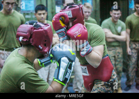 USS SOMERSET, in mare (13 aprile 2017) UN U.S. Marine con l'undicesimo Marine Expeditionary Unit (MEU) blocca un jab da un altro Marine durante la partecipazione a un incontro di boxe durante un Marine Corps Arti Marziali programma sessione di formazione a bordo della USS Somerset (LPD 25), Aprile 13. Il pugilato costruisce la salute cardiovascolare e rafforza la base di abilità di combattimento. Xi MEU è operante negli Stati Uniti 7 flotta area di responsabilità a sostegno della sicurezza marittima, della libertà di navigazione e di sicurezza regionale. Foto Stock