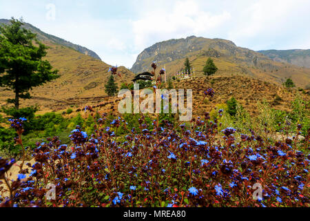 Colline a paro in Bhutan. Foto Stock