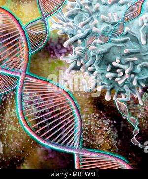 Combinazione computer immagine generata (CGI) con microscopia elettronica a scansione (SEM) che mostra le molecole di DNA ed un linfocita T. Le molecole di DNA (acido desossiribonucleico) è costituito da una lunga doppia elica di fosfati e di zuccheri, collegate da coppie di basi nucleotidiche. Queste coppie di base di nucleotide formano i gradini della scala a spirale visto qui. La sequenza di queste coppie di base formano il codice genetico che è alla base di tutte le forme di vita sulla terra. Un individuo sequenza genetica controlla la loro crescita e il loro sviluppo, e si è passati ai loro figli. Foto Stock