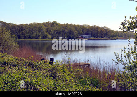 Vista di Rollesby Broad su Trinity Broads sui Norfolk Broads, Regno Unito Foto Stock