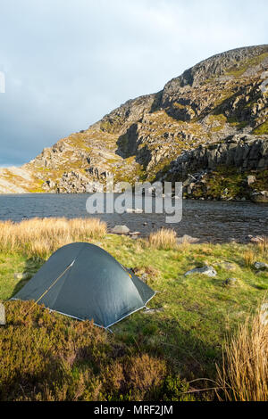 Tenda piantato su una montagna di Gallese durante un campeggio selvaggio viaggio nelle colline Rhinog Foto Stock