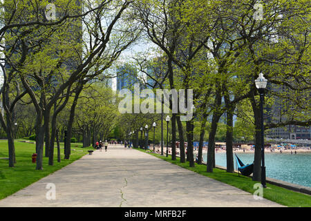 Un viale alberato percorso al Milton Lee Olive Park di Chicago Streeterville del quartiere, che sorge su una penisola di terra appena a nord di Navy Pier. Foto Stock