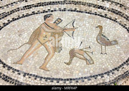 Volubilis mosaico raffigurante il sesto lavoro di Ercole - per sconfiggere gli uccelli Stymphalian Foto Stock