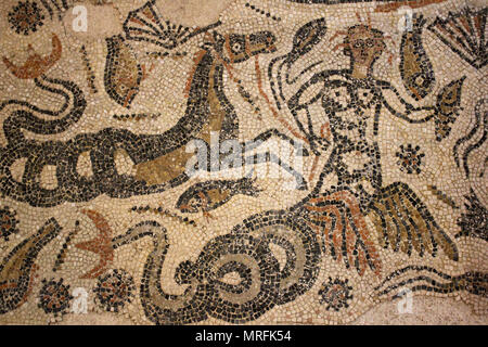 Mosaico del Triton trovata nel frigidarium delle terme, sito archeologico di Banasa, El Gherb regione, Marocco Foto Stock