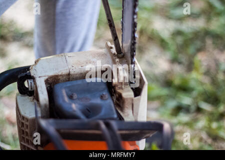 Woodman ha effettuato una sosta nel taglio di alberi per aumentare la nitidezza e serrare la catena delle motoseghe, a mano con un cacciavite Foto Stock