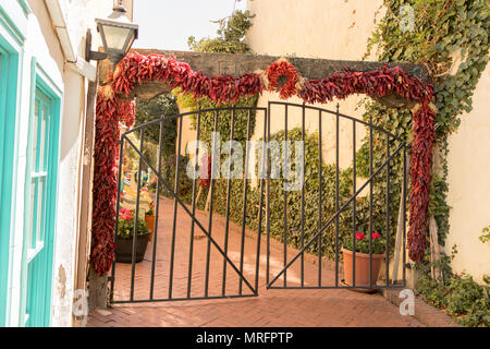 Un storto gate refilato con secchi peperoncino rosso ristras in Old Town Albuquerque, Nuovo Messico, Stati Uniti d'America. Foto Stock