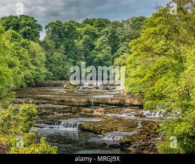 Upper Falls, Aysgarth, Wensleydale, Yorkshire Dales National Park, Regno Unito nella tarda primavera con livello acqua molto basso Foto Stock