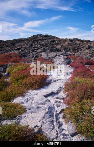 Aspro paesaggio di cappello cinese nelle isole Galapagos Foto Stock