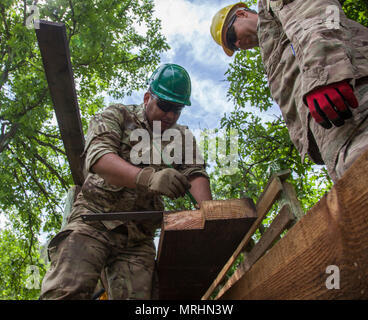 Soldato danese lancia Cpl. Al Frederiksen e Lance Cpl. Stephen Bjerre, 3° Battaglione di costruzione, armata danese, scala di un pezzo di legno per un ponte pedonale durante il Golden Coyote esercizio a Custer State Park, Custer, S.D., 16 giugno 2017. Il Golden Coyote è un esercizio a tre-fase, scenario di esercizio di condotta condotta in Black Hills del Sud Dakota e Wyoming, quali comandanti permette di concentrarsi sulla missione requisiti essenziali per lo svolgimento delle attività e le attività del guerriero e punte di battaglia. (U.S. Esercito foto di Spc. Kevin Kim) Foto Stock