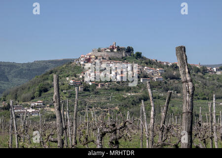 Istria centrale (Istra), Croazia - di Montona, un piccolo e pittoresco borgo medievale situato sulla cima di una collina vista da uno dei vigneti circostanti Foto Stock