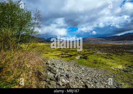 Il bello e selvaggio e sale di marea paludi di Loch Carron nelle Highlands della Scozia. Foto Stock