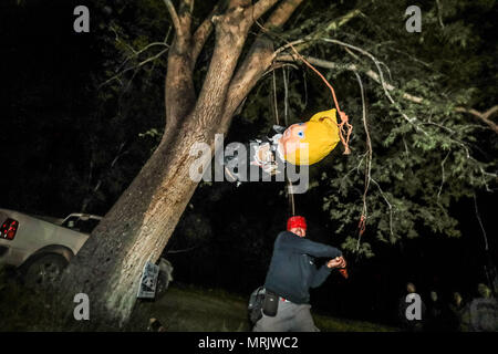 Fotoreporter Luis Gutierrez de Norte foto e biologi provenienti dagli Stati Uniti e Messico, strappo con un bastone di legno, un Donald Trump piñata. Foto Stock