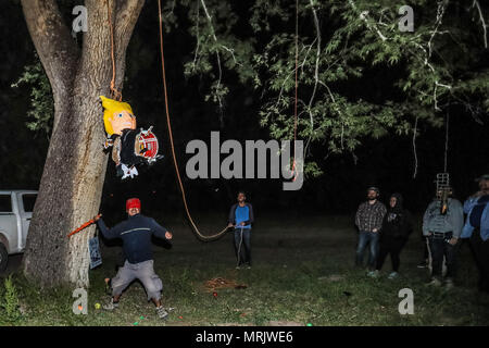 Fotoreporter Luis Gutierrez de Norte foto e biologi provenienti dagli Stati Uniti e Messico, strappo con un bastone di legno, un Donald Trump piñata. Foto Stock