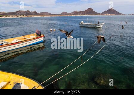 Relazione della vita e gli abitanti della comunità dei pescatori La Manga, una colonia che sembra così marginale come privilegiate per i benefici del mare, individuare Foto Stock