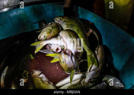 Relazione della vita e gli abitanti della comunità dei pescatori La Manga, una colonia che sembra così marginale come privilegiate per i benefici del mare, individuare Foto Stock