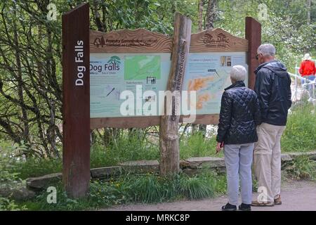 Glen Affric Riserva Naturale Nazionale, Scozia: una coppia di anziani la lettura della mappa al cane cade in Glen Affric, definita la più bella in Scozia. Foto Stock