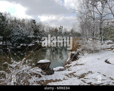 Neve in un parco in Cina Foto Stock