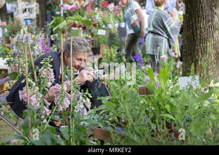 Milano, Italia - 12 Maggio 2018: orticola, la più grande e famosa annuale fiera dei fiori nel centro di Milano. Foto Stock