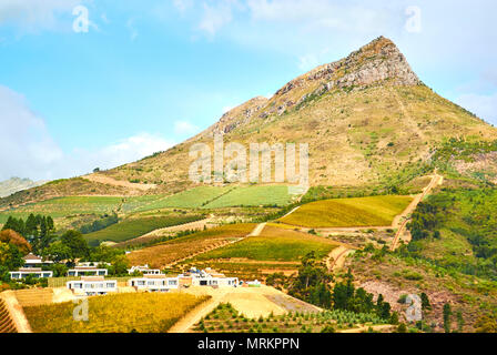 Stellenbosch è una città nella provincia del Capo occidentale del Sud Africa, situato a circa 50 chilometri (31 miglia a est di Città del Capo, lungo le rive del Foto Stock