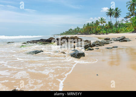 Bellissima spiaggia e natura nei pressi di Itacare in Bahia Brasile Foto Stock