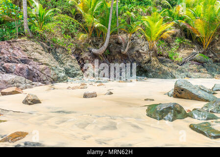 Bellissima spiaggia e natura nei pressi di Itacare in Bahia Brasile Foto Stock