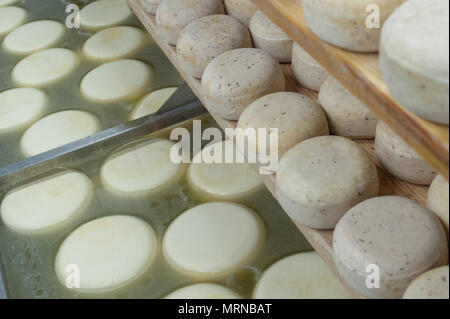 Vvillage Novonikolskoe, Michurin, Regione di Tambov, Russia. 27 Maggio, 2018. Salatura il formaggio nel negozio solo credito: Aleksei Sukhorukov/ZUMA filo/Alamy Live News Foto Stock