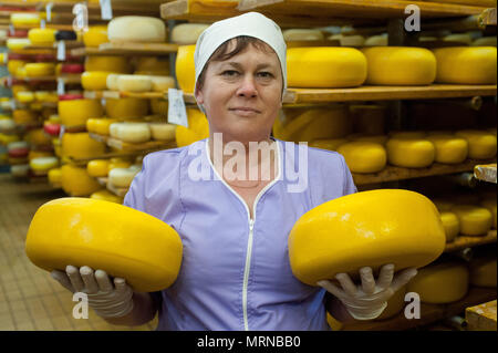 Vvillage Novonikolskoe, Michurin, Regione di Tambov, Russia. 27 Maggio, 2018. La maturazione del formaggio camera.Nella foto-una donna tenendo un formaggio Credit: Aleksei Sukhorukov/ZUMA filo/Alamy Live News Foto Stock