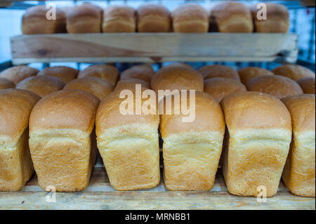 Vvillage Novonikolskoe, Michurin, Regione di Tambov, Russia. 27 Maggio, 2018. Il pane russo nel panificio ''Michurino latte"' village Novonikolskoe, Michurinsky distretto, Tambov Regione) Credito: Aleksei Sukhorukov/ZUMA filo/Alamy Live News Foto Stock