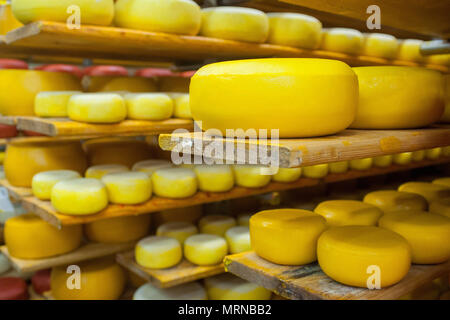 Vvillage Novonikolskoe, Michurin, Regione di Tambov, Russia. 27 Maggio, 2018. La maturazione del formaggio camera Credito: Aleksei Sukhorukov/ZUMA filo/Alamy Live News Foto Stock