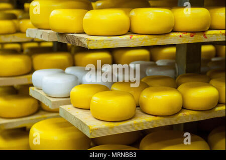 Vvillage Novonikolskoe, Michurin, Regione di Tambov, Russia. 27 Maggio, 2018. La maturazione del formaggio camera Credito: Aleksei Sukhorukov/ZUMA filo/Alamy Live News Foto Stock