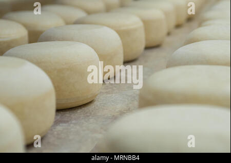 Vvillage Novonikolskoe, Michurin, Regione di Tambov, Russia. 27 Maggio, 2018. Salatura il formaggio nel negozio solo credito: Aleksei Sukhorukov/ZUMA filo/Alamy Live News Foto Stock