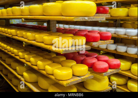 Vvillage Novonikolskoe, Michurin, Regione di Tambov, Russia. 27 Maggio, 2018. La maturazione del formaggio camera Credito: Aleksei Sukhorukov/ZUMA filo/Alamy Live News Foto Stock