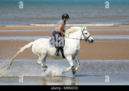 Southport, Regno Unito. 27 maggio 2018. Regno Unito Meteo. Su una bella e soleggiata bank holiday domenica pomeriggio, Mandy Fairclough da Manchester giostre i suoi dieci anni di highland pony "Lagalgarv Ben Quilean' lungo la marea sulle sabbie dorate della spiaggia di Southport nel Merseyside. Mandy è appena tornato alla costa nord ovest dopo concorrenti di fronte a Sua Altezza Reale il Principe di Galles La regina al Royal Windsor. Credito: Cernan Elias/Alamy Live News Foto Stock