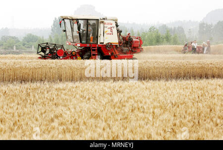 Zaozhuang, la Cina della provincia dello Shandong. 27 Maggio, 2018. Una mietitrebbia funziona in un campo di grano in Yinping città di Zaozhuang, est della Cina di Provincia di Shandong, 27 maggio, 2018. Credito: Sun Zhongzhe/Xinhua/Alamy Live News Foto Stock