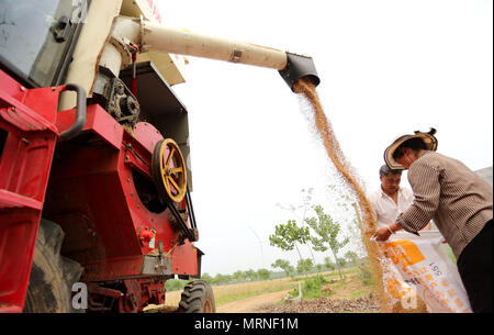 Lianyungang, cinese della provincia di Jiangsu. 27 Maggio, 2018. Gli agricoltori raccolgono raccolti di grano da una mietitrebbia in Linian città di Donghai County, Lianyungang, est cinese della provincia di Jiangsu, 27 maggio, 2018. Credito: Zhang Kaihu/Xinhua/Alamy Live News Foto Stock