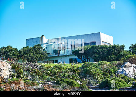 Il punto pietroso colonia di Pinguini si trova a Betty's Bay sul Cape Overberg costa, Western Cape, ed è il solo continente basato su P africana Foto Stock