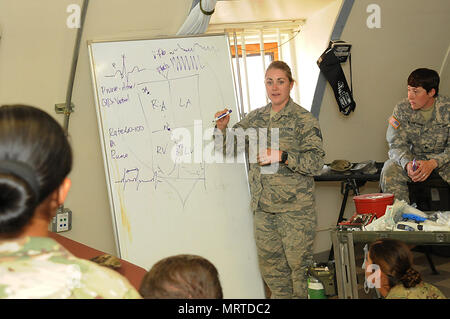 Tech. Sgt. Genevieve K. Parsell, 178mo ala gruppo medico tecnico medico insegna una classe cardiaco per esercito e Air Force professionisti medici durante una comune formazione medica presso l'Pohakuloa Area Formazione, Hawaii. Trentatre aviatori hanno partecipato alla formazione, provvisto del mondo reale assistenza medica e completato la loro formazione annuale requisiti, Giugno 11-23. (U.S. Air National Guard foto di 2d Lt. Lou Burton) Foto Stock