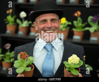 RHS Chelsea, Londra, Regno Unito. 21 Maggio, 2018. Simon Lockyer presenta la sua collezione Primula nel grande padiglione presso Chelsea Foto Stock