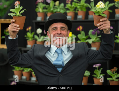 RHS Chelsea, Londra, Regno Unito. 21 Maggio, 2018. Simon Lockyer presenta la sua collezione Primula nel grande padiglione presso Chelsea Foto Stock