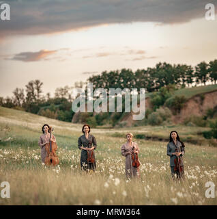 Femmina quartetto musicale con tre violini e violoncello sorge sul prato fiorito contro uno sfondo pittoresco del cielo con le nuvole. Foto Stock