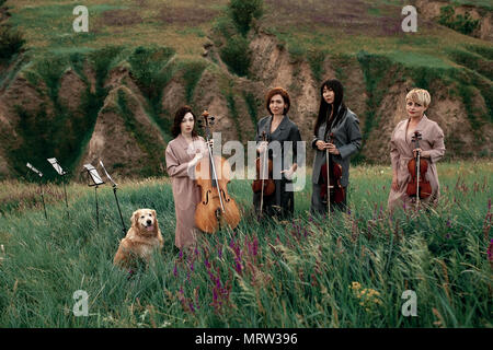 Femmina quartetto musicale con tre violini e violoncello si prepara a giocare a prato fiorito contro sfondo di paesaggio pittoresco accanto al cane. Foto Stock