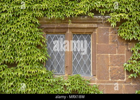 Finestra di pietra, Canons Ashby House, Northamptonshire Foto Stock