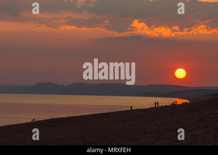 PESCA A CHESIL BEACH AL TRAMONTO A DORSET Foto Stock