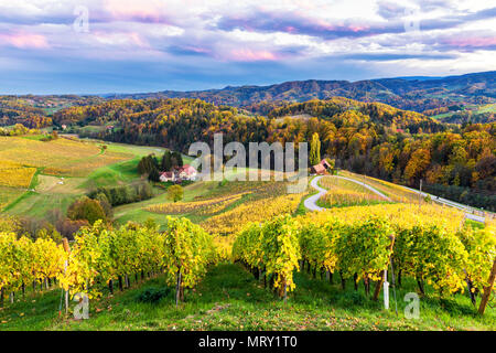 La strada heartshaped al tramonto. Spicnik, Kungota, regione della Drava, Slovenia. Foto Stock