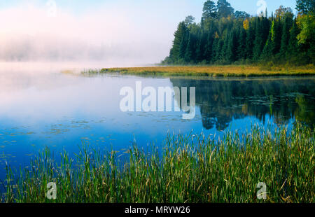 Nebbia mattutina copre Maria Lago Itaska nel Parco dello Stato dove il Fiume Mississippi inizia, Minnesota. Foto Stock