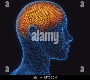 3D'illustrazione. Cervello umano in una struttura di connessioni poligonale che rappresenta la potenza della mente. Foto Stock