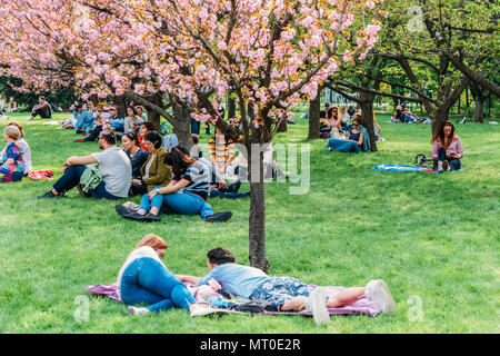 Bucarest, Romania - 15 Aprile 2018: persone divertirsi nel giardino giapponese del Parco Herastrau sul Weekend Primavera Foto Stock