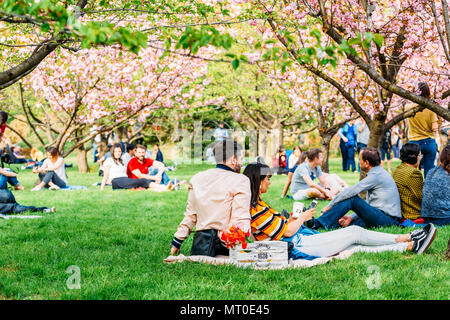 Bucarest, Romania - 15 Aprile 2018: persone divertirsi nel giardino giapponese del Parco Herastrau sul Weekend Primavera Foto Stock