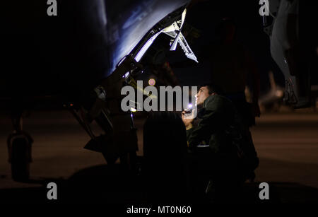 Stati Uniti Air Force Il Mag. Ryan Nickell, 95th Fighter Squadron, Tyndall Air Force Base Fla., pilota, esegue un controllo di preflight su di un F-22 Raptor di Red Flag 17-3 Luglio 10, 2017. Prima di effettuare qualsiasi getto lascia la Flightline, sia il capo equipaggio e pilota di eseguire un controllo completo del velivolo. (U.S. Air Force foto di Senior Airman Dustin Mullen/rilasciato) Foto Stock